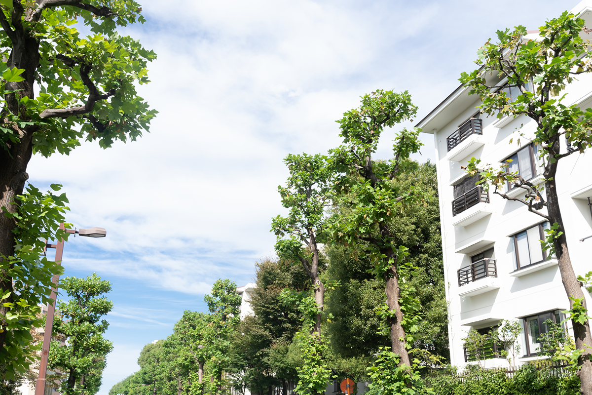 自治会ホームページが必要な理由