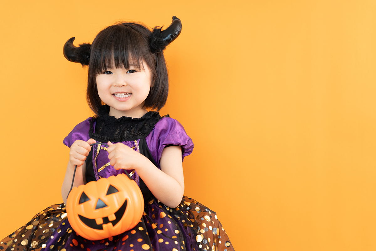 写真ギャラリーの活用