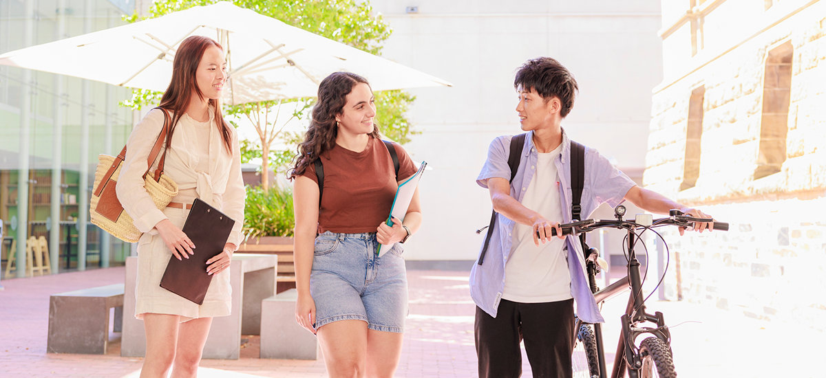 文化系サークルのホームページに掲載すべき内容